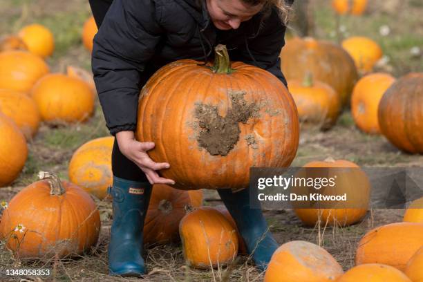 Woman attempts to pick up a heavy pumpkin at Tulleys farm on October 22, 2021 in Crawley, England. Tulleys Farm's annual 'Pick Your Own Pumpkins'...