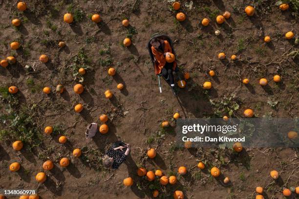 Group of girls joke around and take photos while pumpkin picking at Tulleys farm on October 22, 2021 in Crawley, England. Tulleys Farm's annual 'Pick...