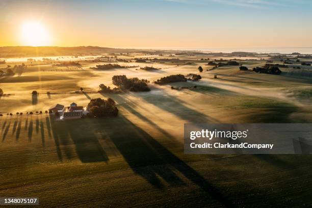 frühmorgendlicher nebel und sonnenlicht auf moen in dänemark - dänemark landschaft stock-fotos und bilder