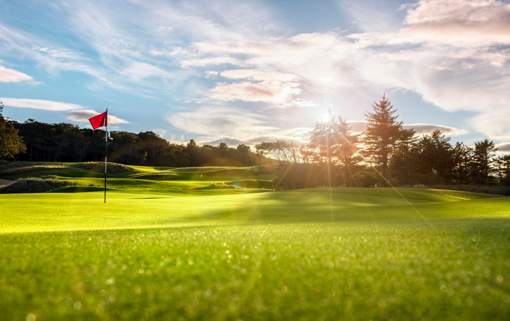 golf course landscape