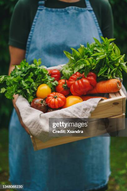 frau mit einer kiste mit bio-gemüse - bauernmarkt stock-fotos und bilder