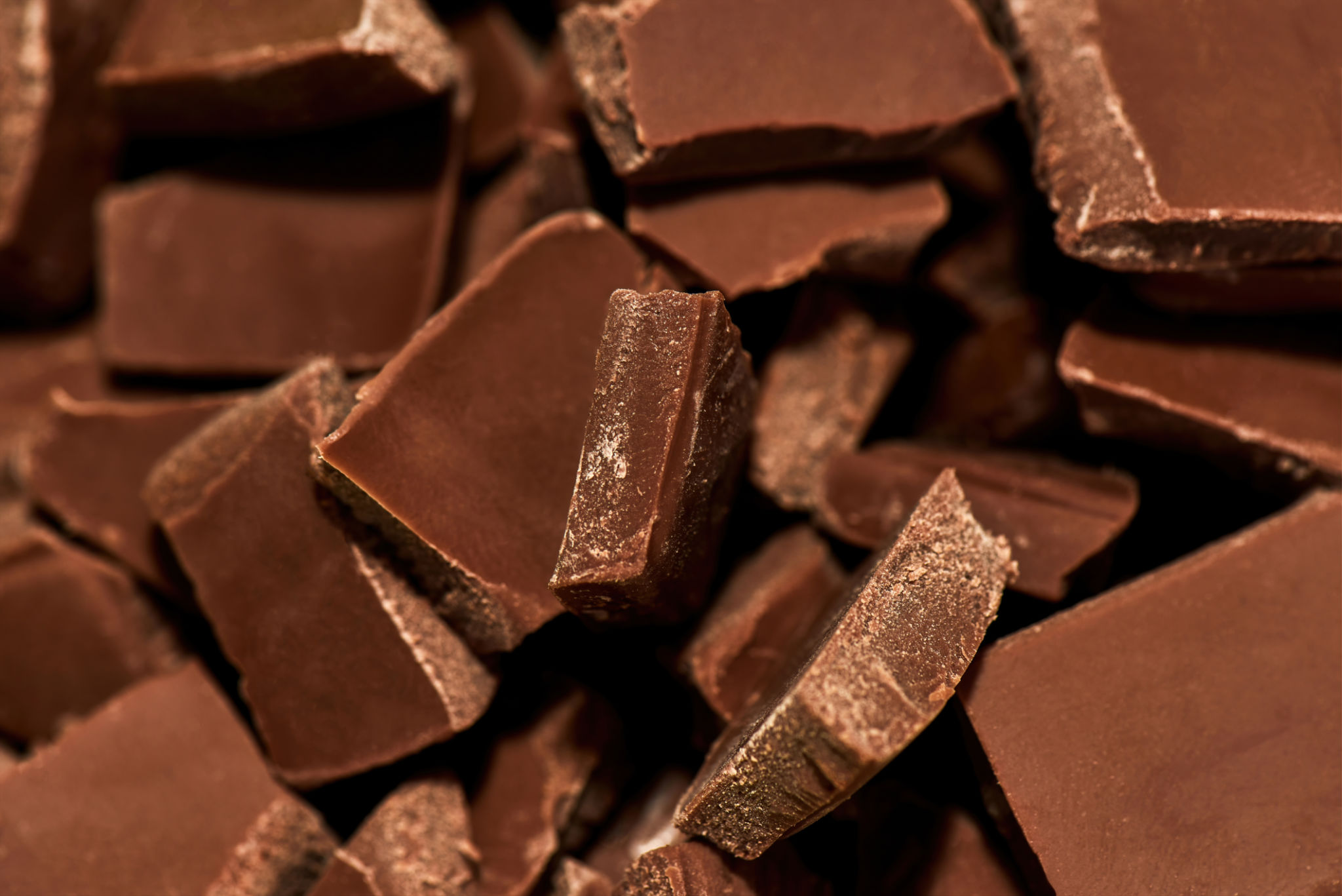 premium chocolate close-up