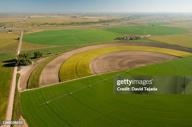 crop circles with center-pivot irrigation - graancirkel stockfoto's en -beelden