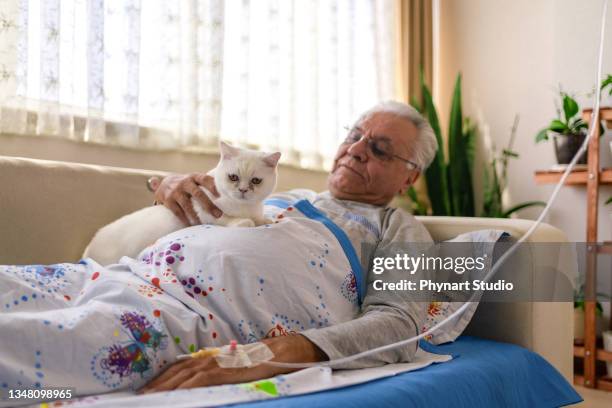 male patient lying in bed, cuddling cat - adult diaper stockfoto's en -beelden