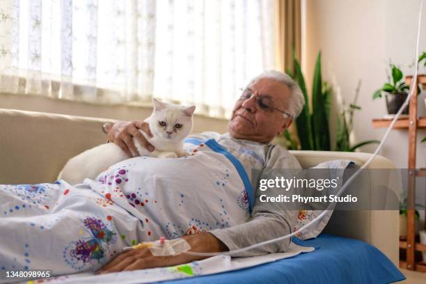 male patient lying in bed, cuddling cat - catheter stock pictures, royalty-free photos & images