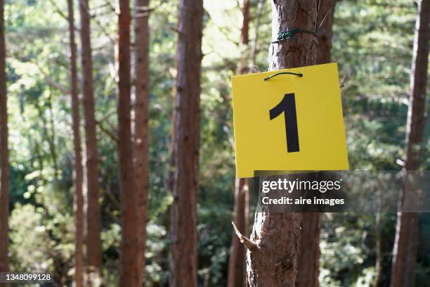 Leaf Scar Photos and Premium High Res Pictures - Getty Images