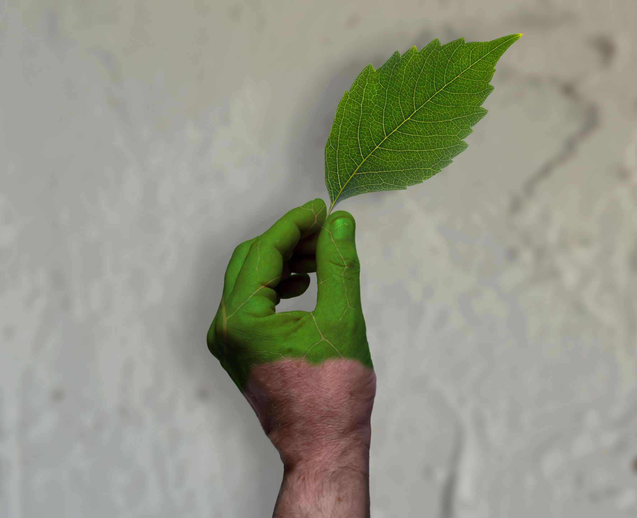 eco friendly paint