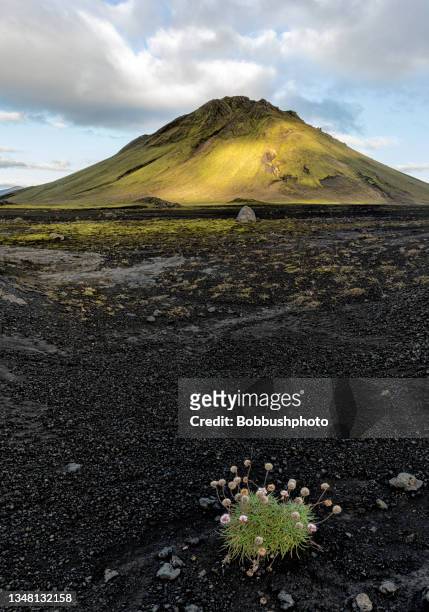 maelifell volcano, iceland - maelifell stock pictures, royalty-free photos & images