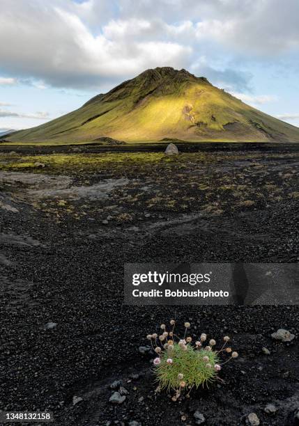 maelifell volcano, iceland - mýrdalsjökull bildbanksfoton och bilder