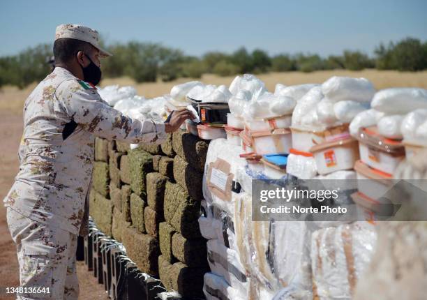 Soldier of the Mexican army carries out preparations to set fire to drugs on October 21, 2021 in Hermosillo, Mexico. The General Prosecutor of Sonora...