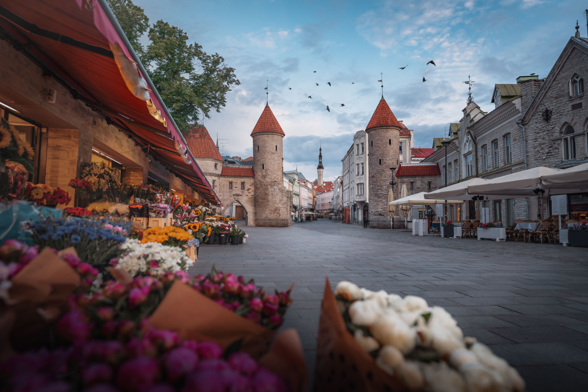 art festival Tallinn