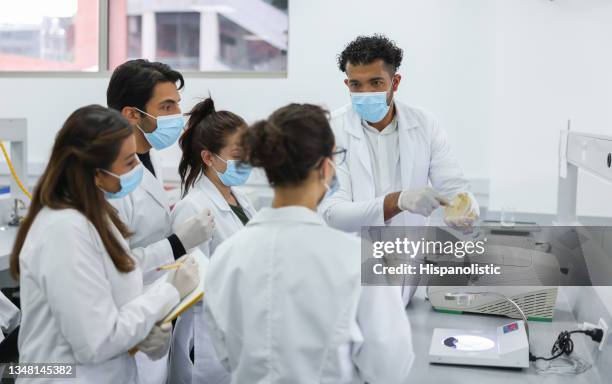 students in a bacteriology class learning how to use a microscope - group of people wearing masks stock pictures, royalty-free photos & images