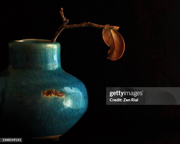 blue ceramic vase with crackling pattern,  a dried up twig and leaf on black background - wabi sabi - ikebana arrangement stock pictures, royalty-free photos & images