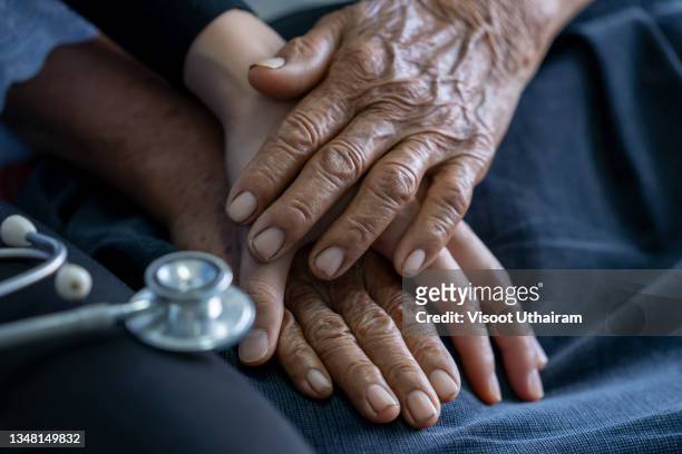 close up of young nurse holding old man's hands and encourage him. - empathie stock-fotos und bilder