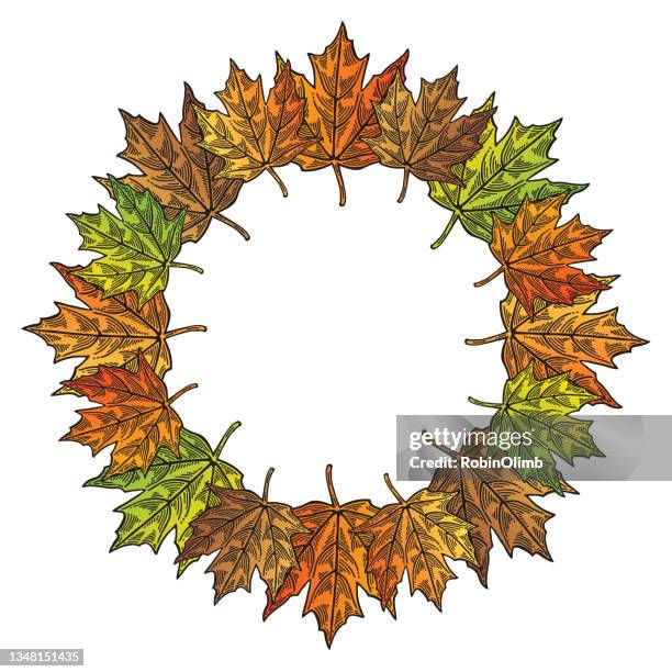 wreath of fall leaves - maple tree white background stock illustrations
