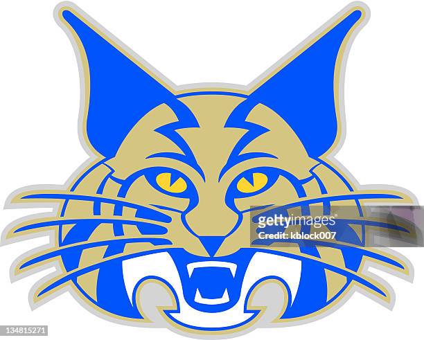 wildcat mascot - bobcat stock illustrations