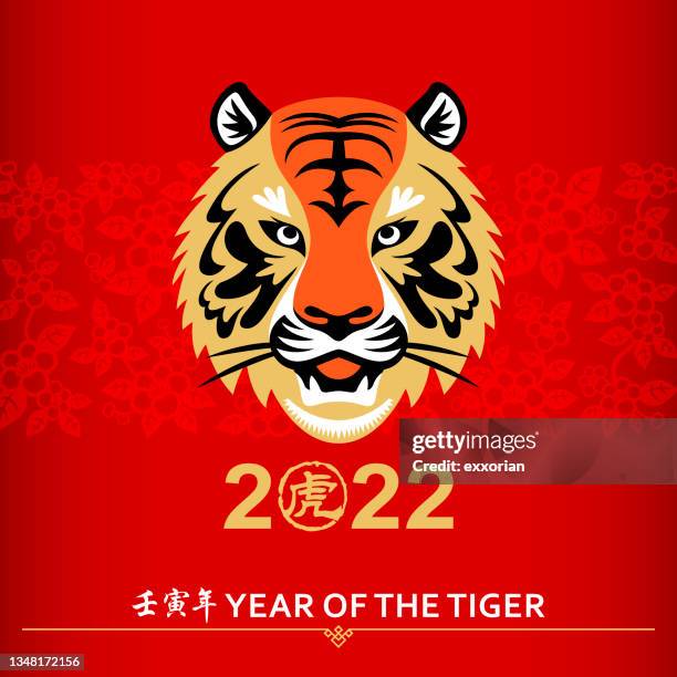 chinese new year tiger head - chinese script stock illustrations