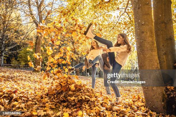 preteenagers kick colorful yellow and orange leaves outdoors in a park on a warm autumn day. - girl mound stock-fotos und bilder