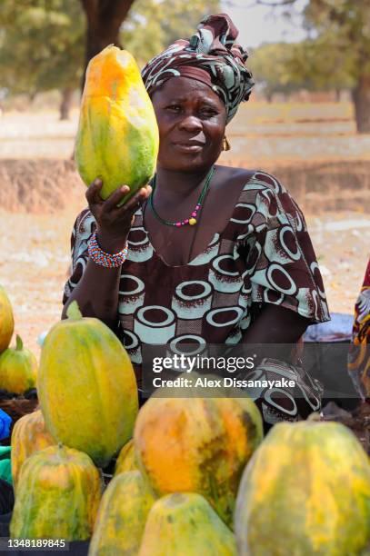 woman  of bobo tribe, selling papaya fruit on roadside, near segou, mali- west  africa. - bobo tribe stock pictures, royalty-free photos & images