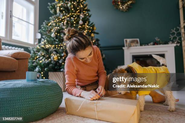 weihnachtsgeschenke gemeinsam verpacken - christmas tree dog stock-fotos und bilder