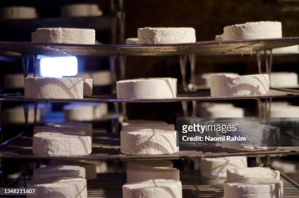 genuine french camembert of normandy cheese wheels maturing in a cellar - brie stock-fotos und bilder