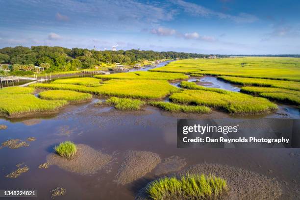 76 Reed Island State Park Stock Photos, High-Res Pictures, and Images ...