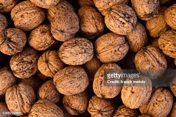 organic walnuts - cáscara de nuez fotografías e imágenes de stock