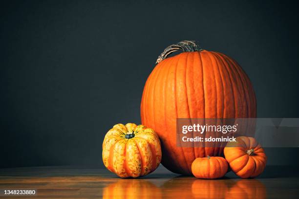 fall pumpkin décor - gourd bildbanksfoton och bilder