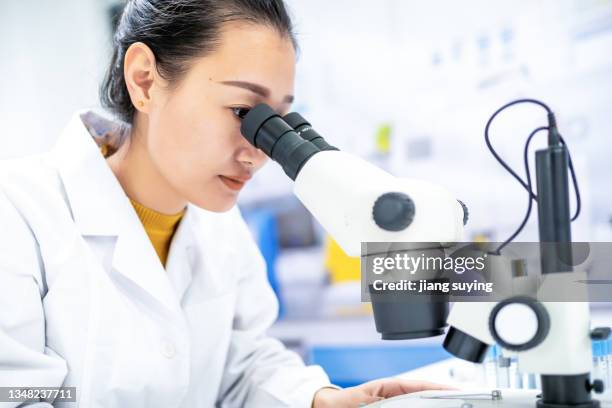 4,316 Asian Woman Microscope Stock Photos, High-Res Pictures, and ...
