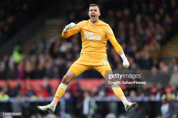 Karl Darlow of Newcastle United celebrates after their side's first goal scored by Callum Wilson during the Premier League match between Crystal...