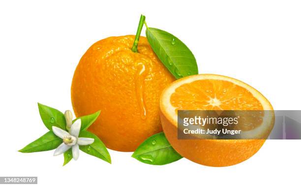 オレンジ メドレー - orange blossom点のイラスト素材／クリップアート素材／マンガ素材／アイコン素材