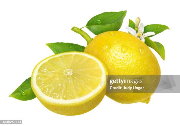 lemon and half - photo realism stock illustrations