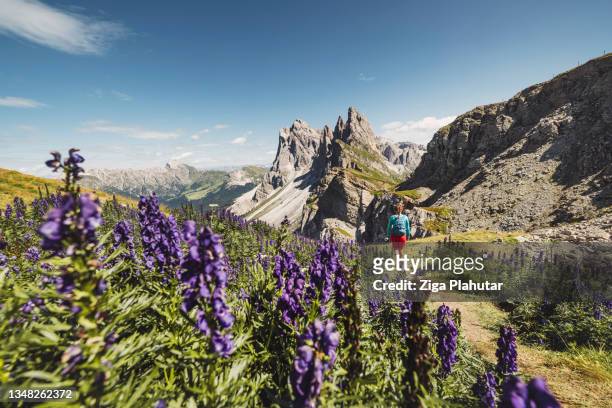 happy hiker in seceda dolomites - claus lange stock pictures, royalty-free photos & images