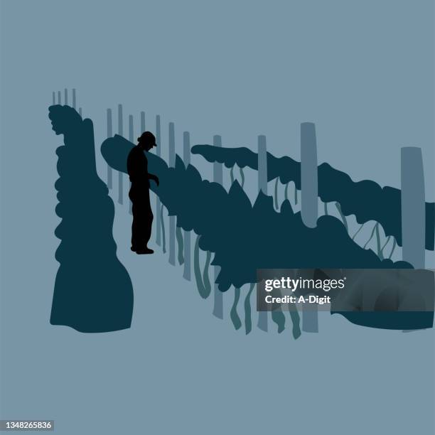 vineyardflatdesig - vineyard worker stock illustrations