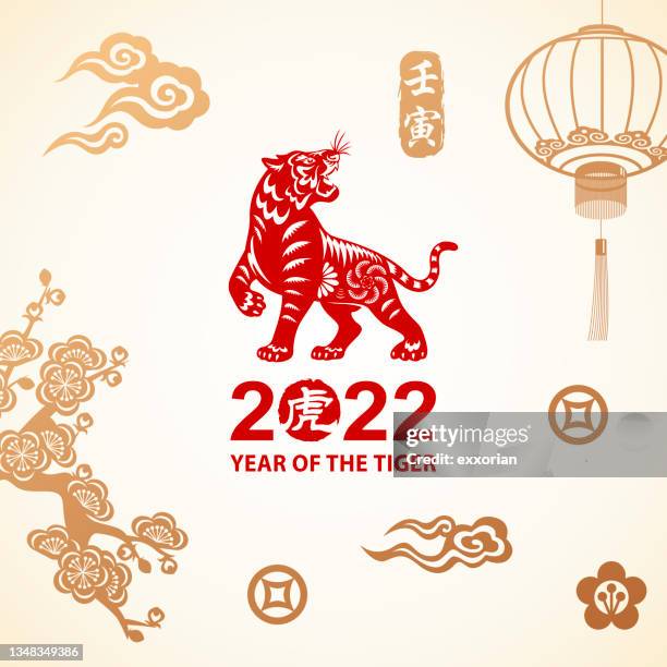 illustrazioni stock, clip art, cartoni animati e icone di tendenza di celebrazione dell'anno della tigre - chinese new year vector