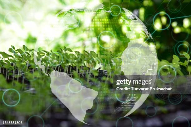 ecology concept . - ecologist stock pictures, royalty-free photos & images