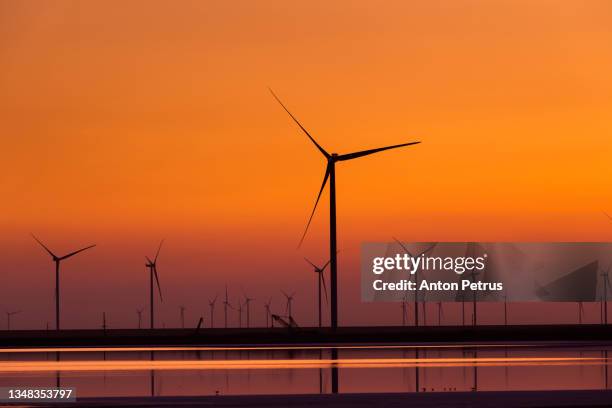 wind turbines on the seashore at sunset. green energy concept - structure actionnée par le vent photos et images de collection