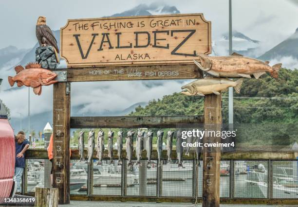 silberlachsfischen in valdez, alaska - prince william sound stock-fotos und bilder