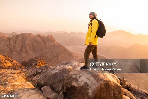 traveler on a stone at dawn in the sinai mountains, egypt - sinai egypt stockfoto's en -beelden