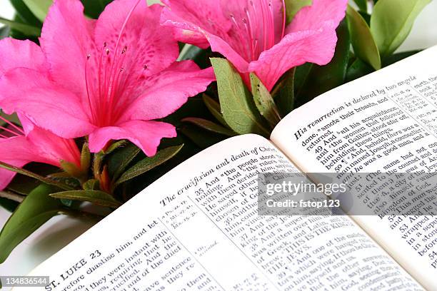 angestiegen lord passage, offene bibel. ostersonntag. schriften eingemeißelt. christentum, religion. - easter church stock-fotos und bilder