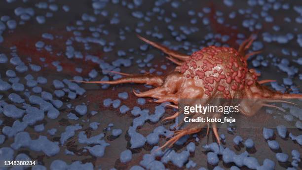 cancer cells - scanning electron microscope stock pictures, royalty-free photos & images