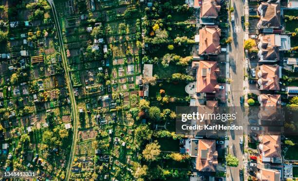 an aerial view of a north london communal garden and houses - stock photo - gemeinschaftsgarten stock-fotos und bilder