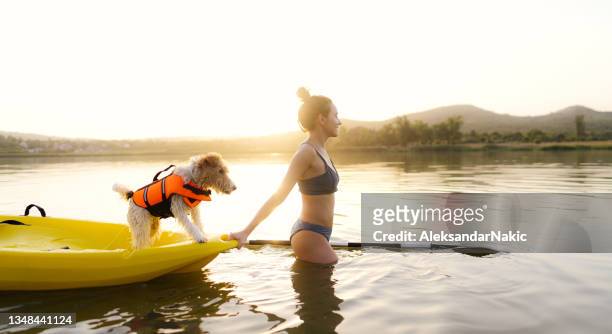 let's kayaking together - life jacket bildbanksfoton och bilder