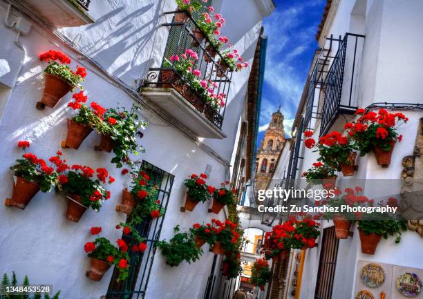 cordoba flower street - andalucia stock pictures, royalty-free photos & images