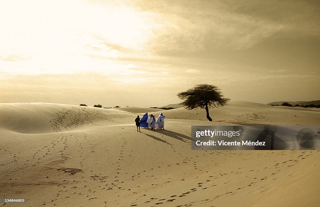 Tuareg family on their way to festival au desert