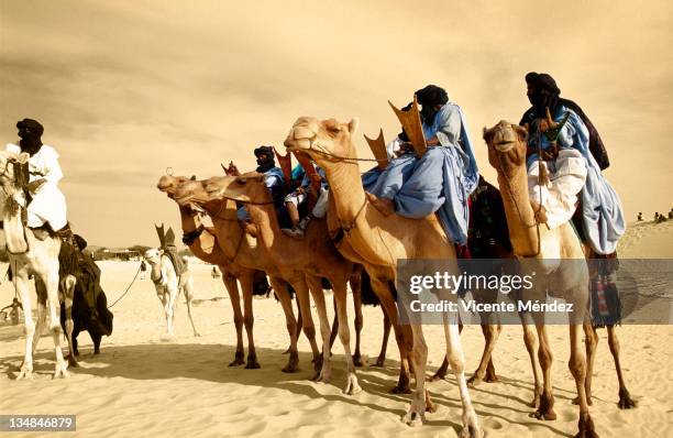 tuaregs mounnted - tuareg stock pictures, royalty-free photos & images
