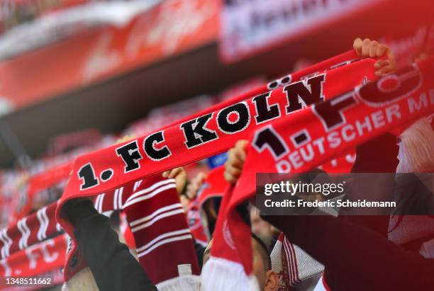Fans of 1.FC Koeln show their support as they hold aloft scarves prior to the Bundesliga match between 1. FC Köln and Bayer 04 Leverkusen at...