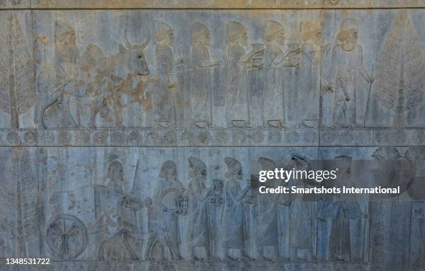 persian warriors, animals, ambassadors and other characters in persepolis, iran, capital city of the achaemenid dynasty in persia, a unesco heritage site - bas reliëf stockfoto's en -beelden