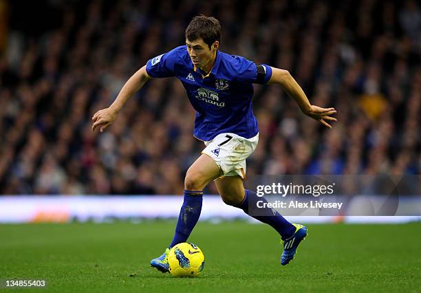 Diniyar Bilyaletdinov of Everton in action during the Barclays Premier League match between Everton and Stoke City at Goodison Park on December 4,...