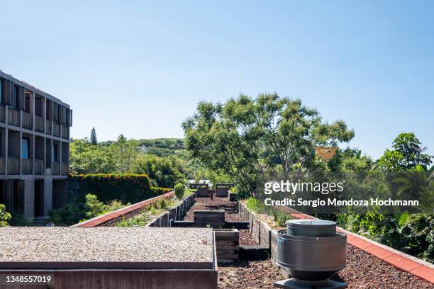 a rooftop herb garden in a beautiful boutique spa hotel resort in tepoztlan, mexico - morelos stock pictures, royalty-free photos & images